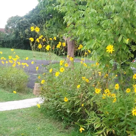 D'une Avec Jardin Clos Et Wifi A شقة Cazaubon